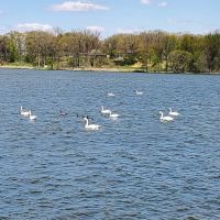 Pike Lake Campground ico
