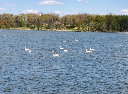Pike Lake Campground