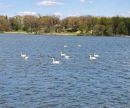 Pike Lake Campground