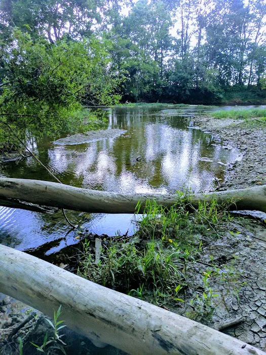 Marbrook Campground Picture 5