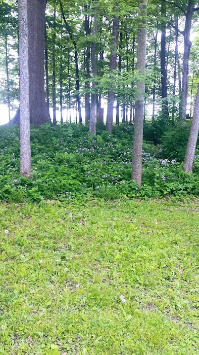 Marbrook Campground Picture 7