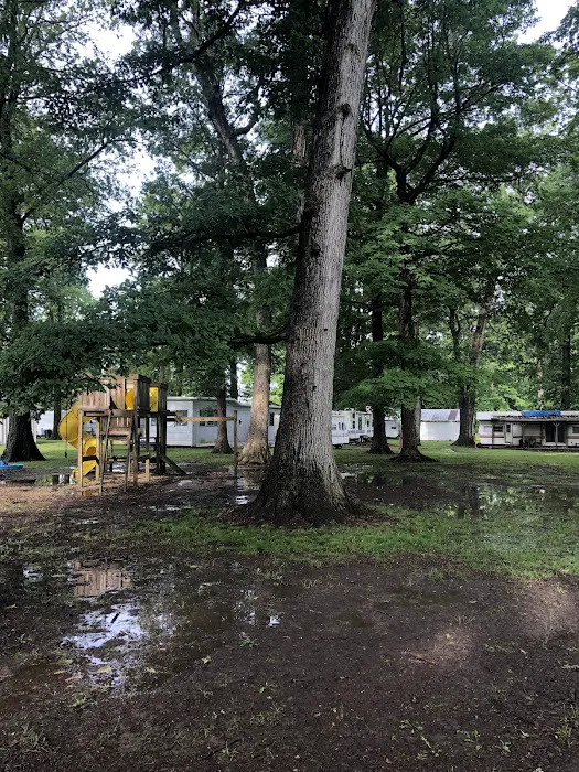 Woodland Family Camp Picture 4