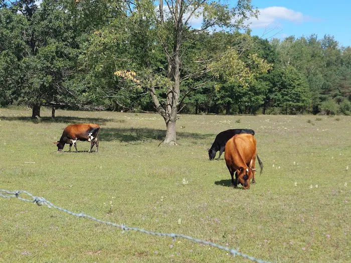 Braxton's Ranch Picture 8