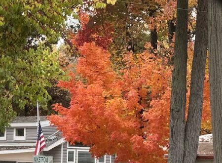 Fullers Resort and Campground