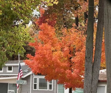 Fullers Resort and Campground