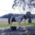 Frances Slocum Trailriders
