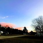 Proett Plantation