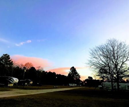 Proett Plantation