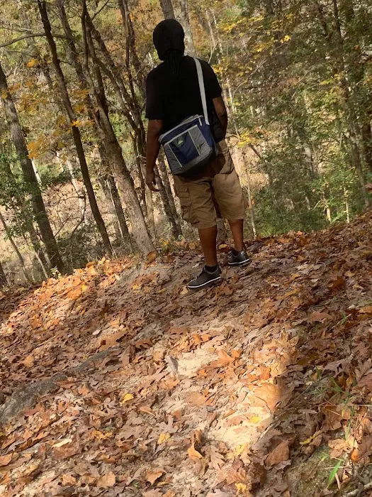 Poinsett Park Campground Picture 6