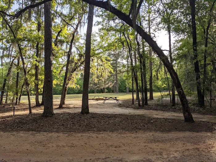 Poinsett Park Campground Picture 4