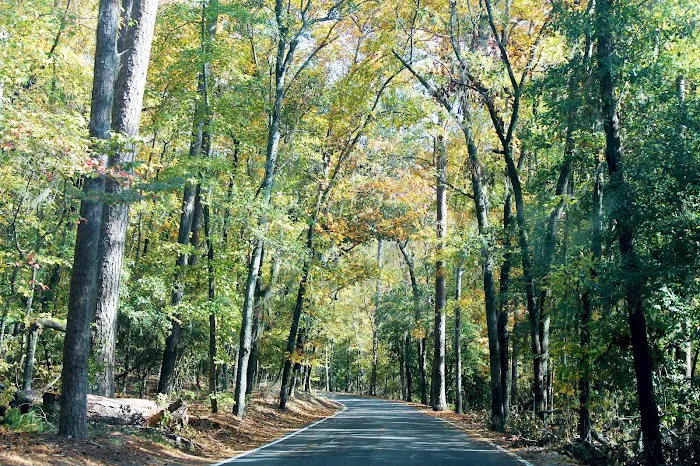Poinsett Park Campground Picture 7