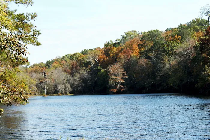 Poinsett Park Campground Picture 10