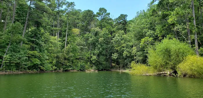 Hawe Creek Campground Picture 4