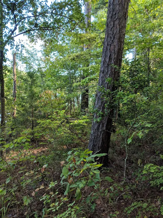 Hawe Creek Picture 5