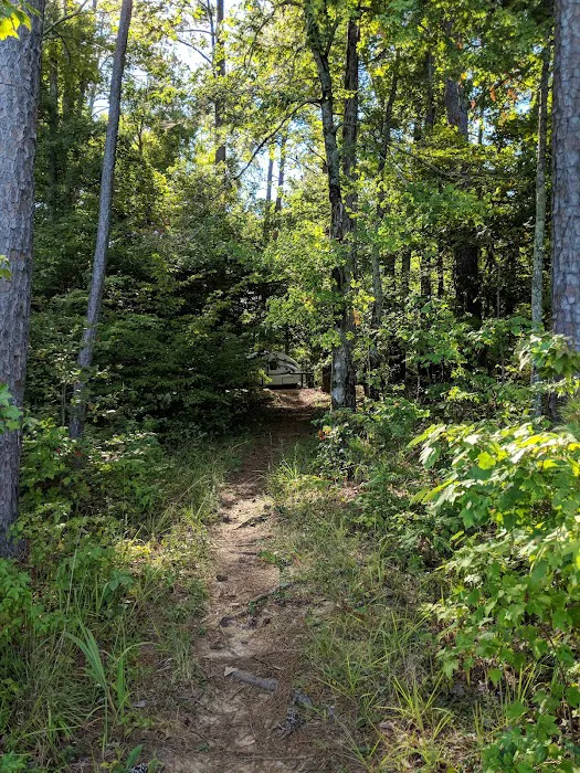 Hawe Creek Picture 10