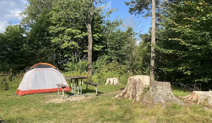Balsam Mountain Campground Picture 5
