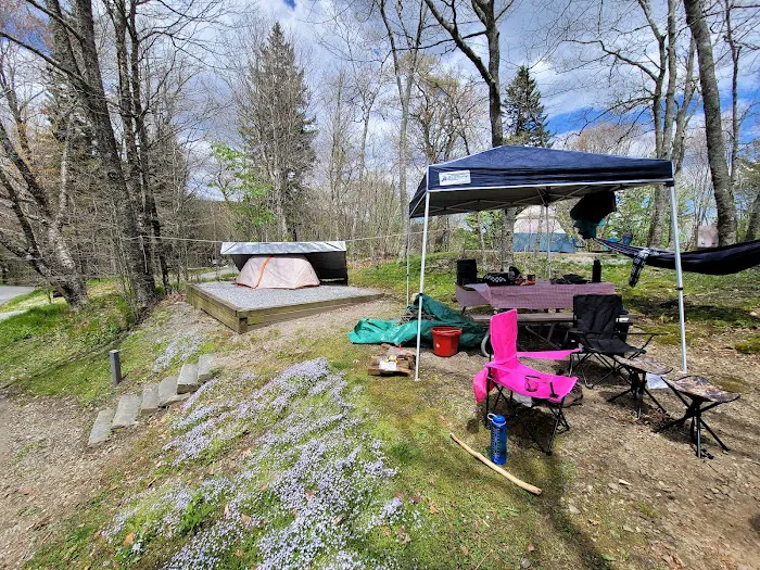 Balsam Mountain Campground Picture 4
