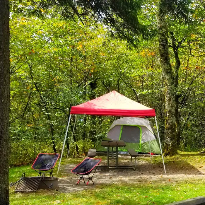 Balsam Mountain Campground Picture 8