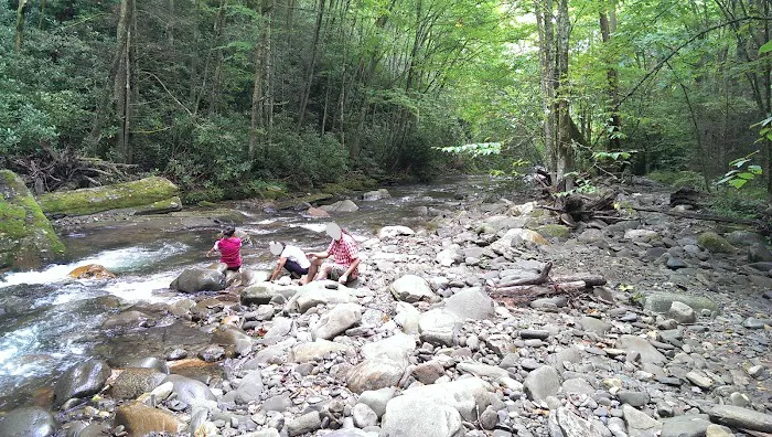 Round Bottom Campground Picture 5