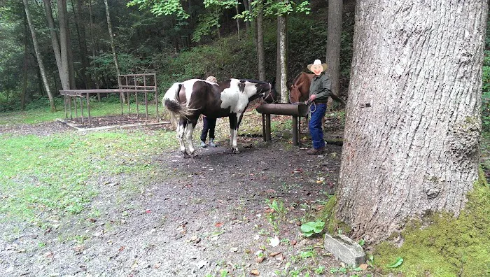 Round Bottom Campground Picture 10