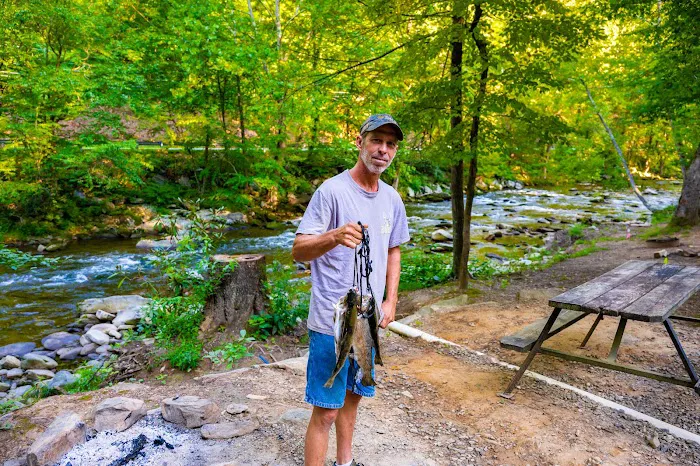 Yogi Bear's Jellystone Park™ - Cherokee NC Picture 10