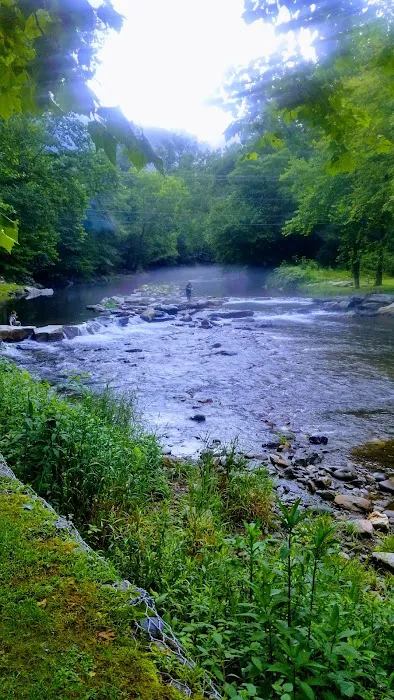 Standingdeer Campground Picture 6