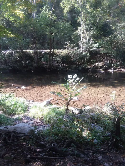 Standingdeer Campground Picture 10
