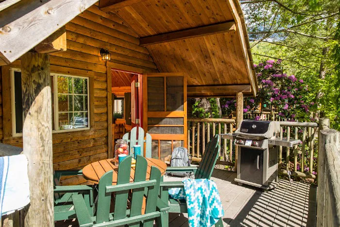 Cherokee / Great Smokies KOA Holiday Picture 3