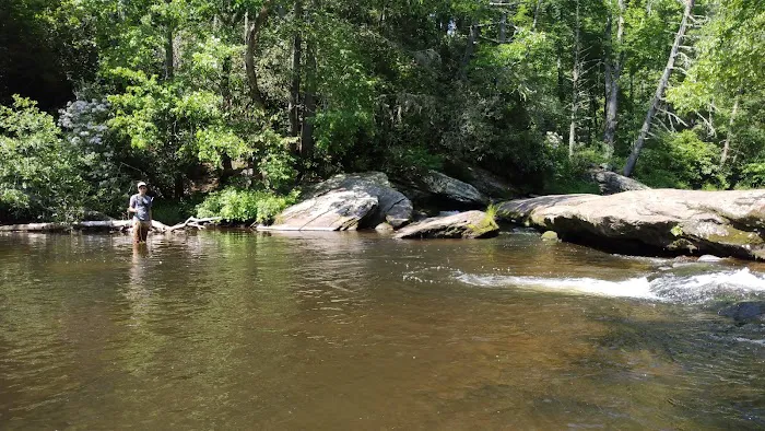 Van Hook Glade Campground Picture 2