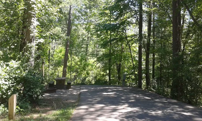 Van Hook Glade Campground Picture 3