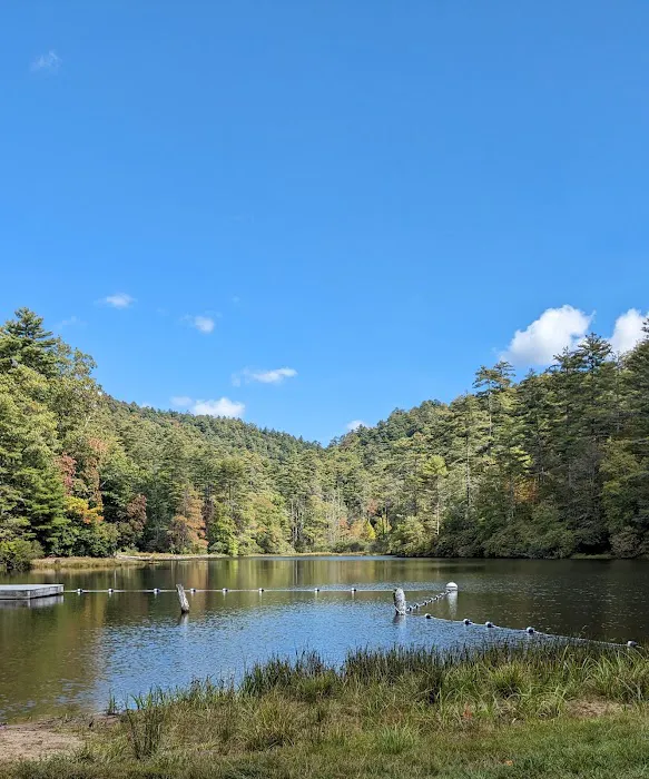 Van Hook Glade Campground Picture 5
