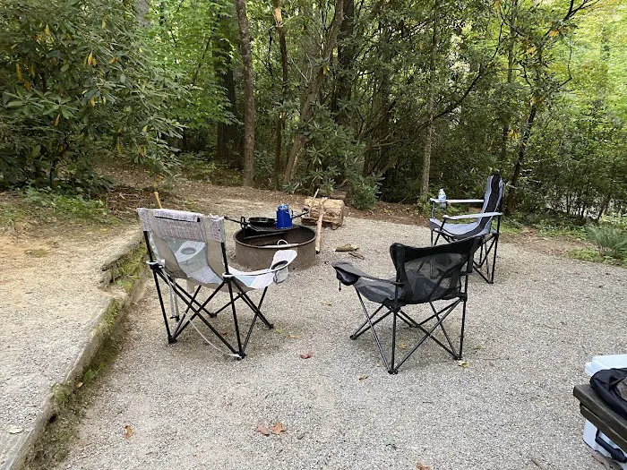 Van Hook Glade Campground Picture 7