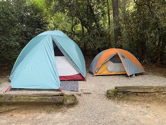 Van Hook Glade Campground Picture 9