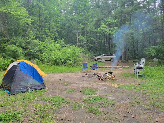 Grapevine Campground Picture 2