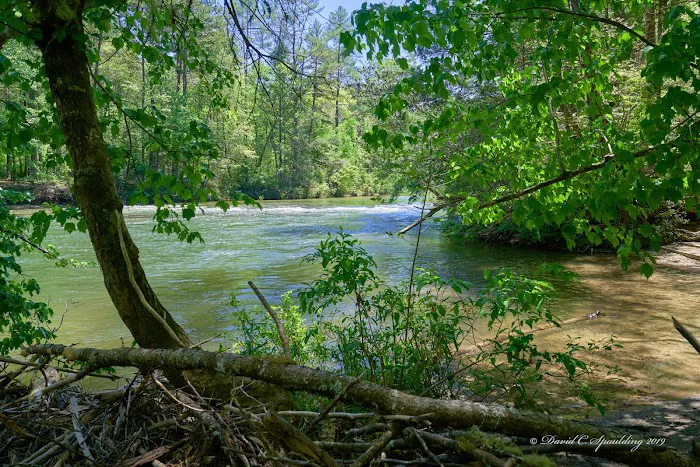 Thrifts Ferry Campground Picture 1