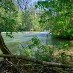 Thrifts Ferry Campground