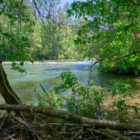 Thrifts Ferry Campground ico