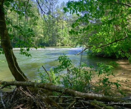 Thrifts Ferry Campground