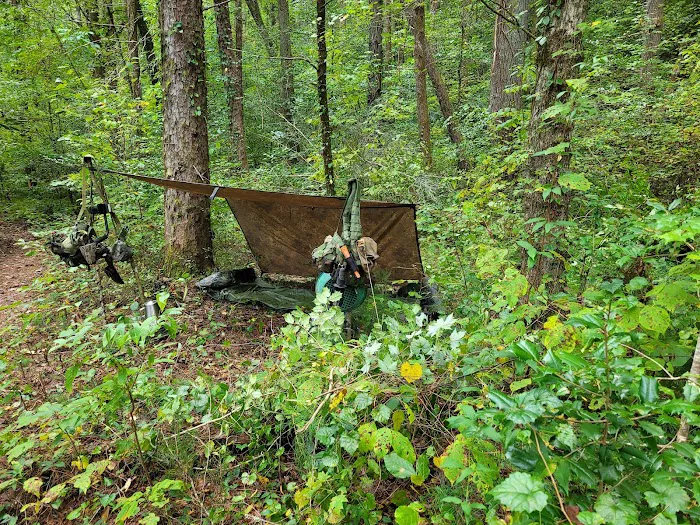 Thrifts Ferry Campground Picture 4