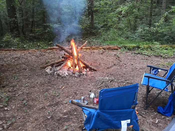 Thrifts Ferry Campground Picture 5