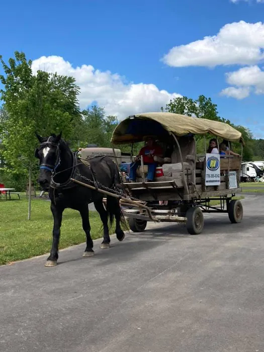 Willow Valley RV Resort Picture 3