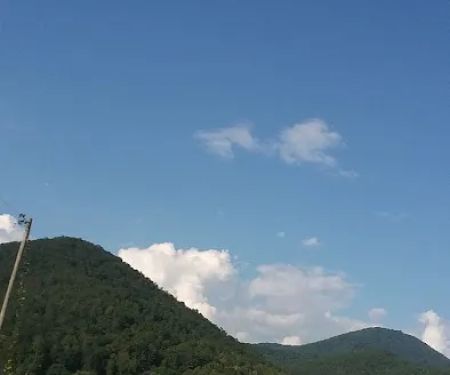 Natural Resources Department