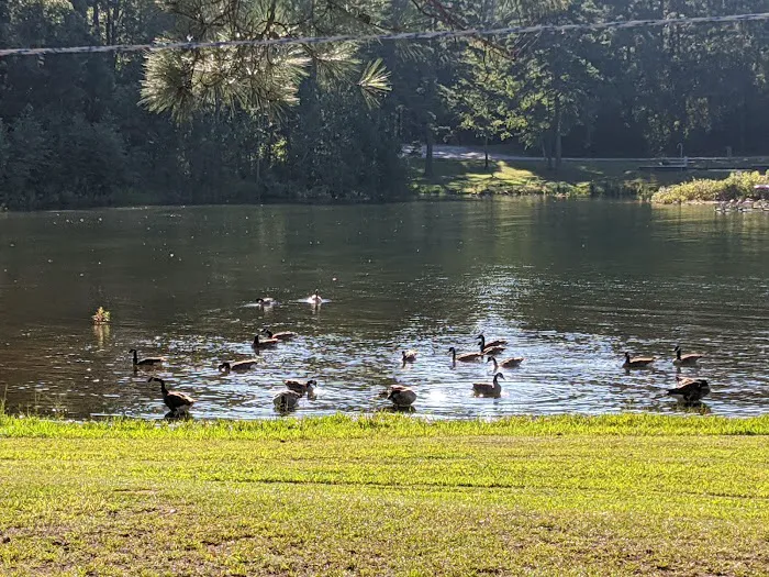 Oconee Point Campground Picture 10