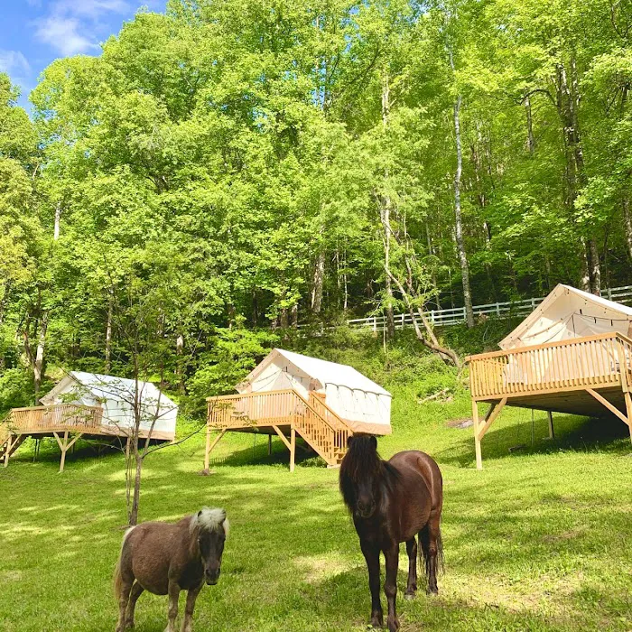 Nurture Nature Retreat Picture 4