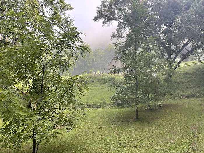 Nurture Nature Retreat Picture 9