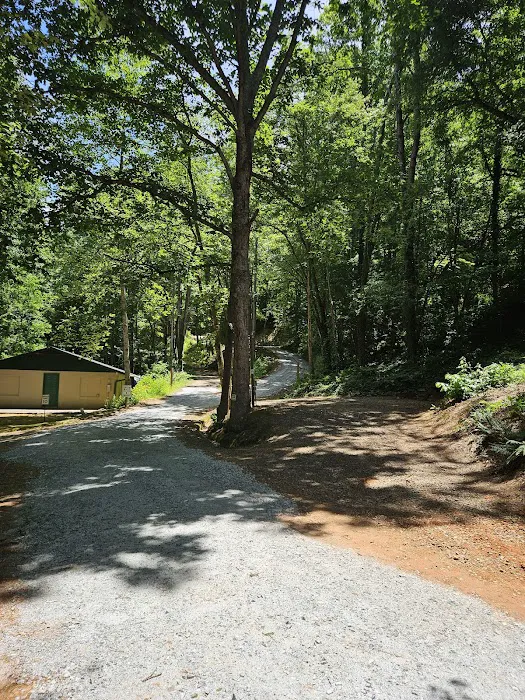 Mi Mountain Campground Picture 5
