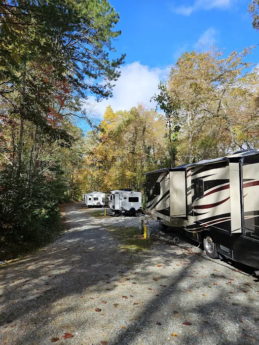 Mi Mountain Campground Picture 4
