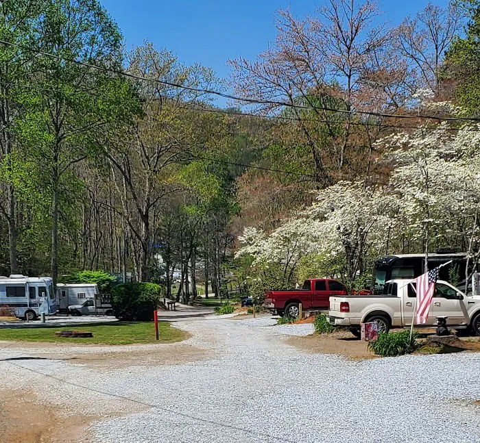 Mi Mountain Campground Picture 9