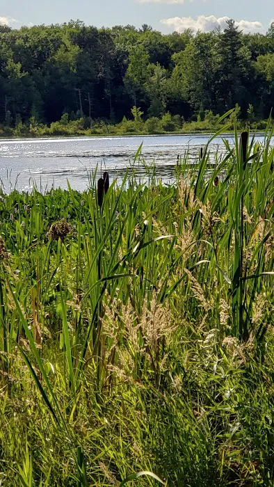 Merrill–Gorrel County Park Picture 10