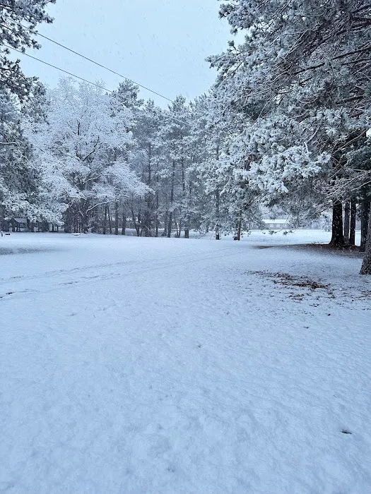 Gray's Riverside Campground Picture 5